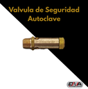Valvula de Seguridad Autoclave (Woson)