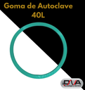 Goma de Autoclave 40L (Biotron)