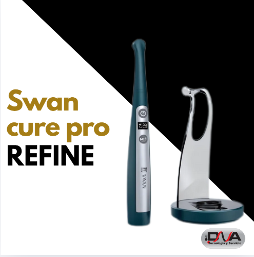 Swan (Refine)  (copia)
