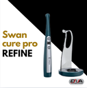 Swan (Refine)  (copia)